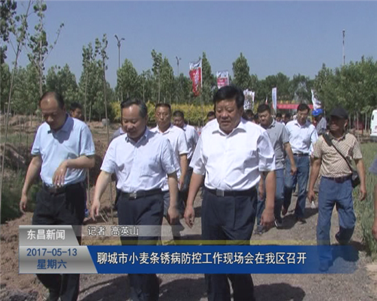 聊城市小麥條銹病防控工作現(xiàn)場(chǎng)會(huì)在我區(qū)召開(kāi)