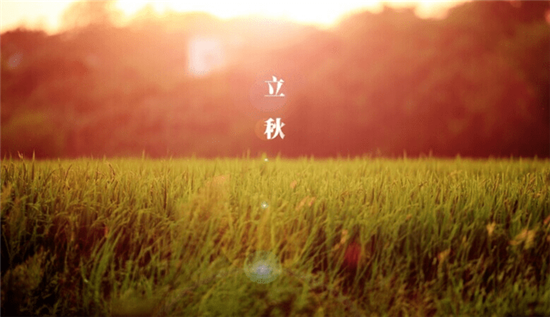 8月7日立秋涼氣始肅