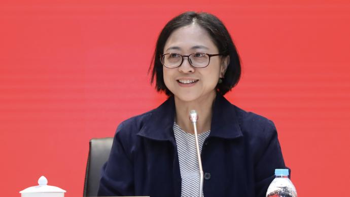 盧麗安：臺灣當局對我的打壓，20年前就預料到了