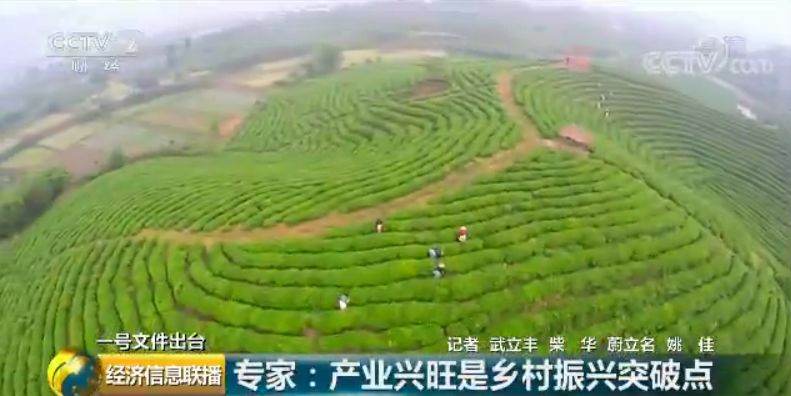 一張圖看懂中央一號文件:這些產(chǎn)業(yè)未來很吃香