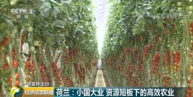 一張圖看懂中央一號文件:這些產(chǎn)業(yè)未來很吃香