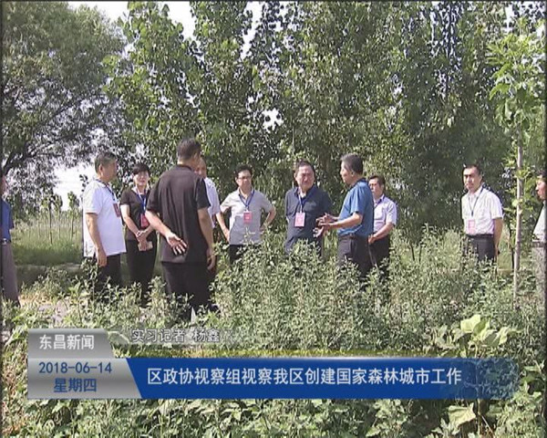 區(qū)政協(xié)視察組視察我區(qū)創(chuàng)建國家森林城市工作