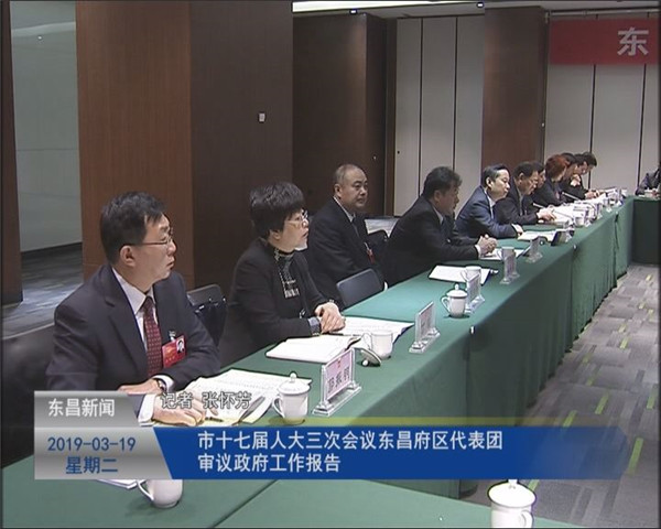 市十七屆人大三次會議東昌府區(qū)代表團(tuán)審議政府工作報告
