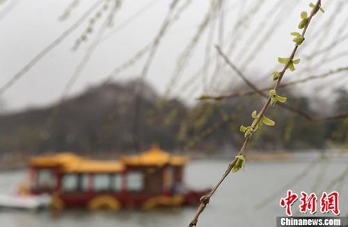 驚蟄又名“啟蟄”？除了吃梨，還有這些習(xí)俗