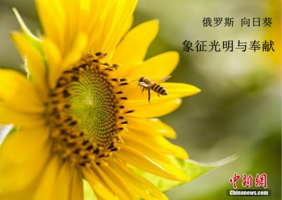 點(diǎn)擊進(jìn)入下一頁(yè)