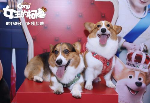 點擊進入下一頁