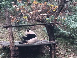 點擊進入下一頁