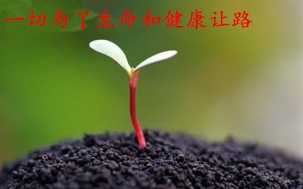 一切為了生命和健康讓路