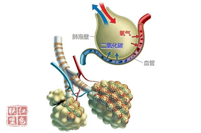 湖4.jpg