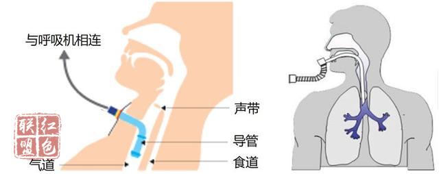 湖9.jpg