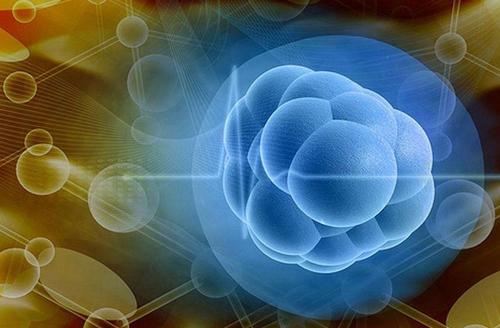 科技部：干細(xì)胞可以有效降低新冠病毒在患者體內(nèi)引發(fā)的劇烈炎癥反應(yīng)