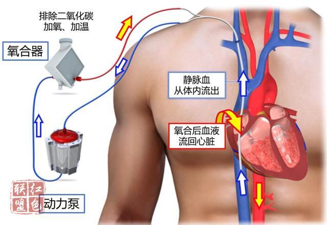 湖10.jpg