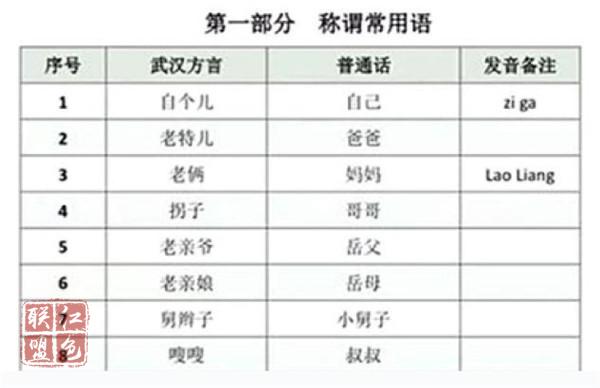 新華社：“齊”心“魯”力 “武漢話手冊”誕生背后 五代人懸壺濟(jì)世傳承使命