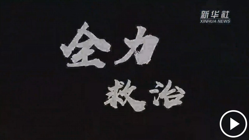生命至上，人民至上——武漢戰(zhàn)“疫”重癥患者救治工作紀實