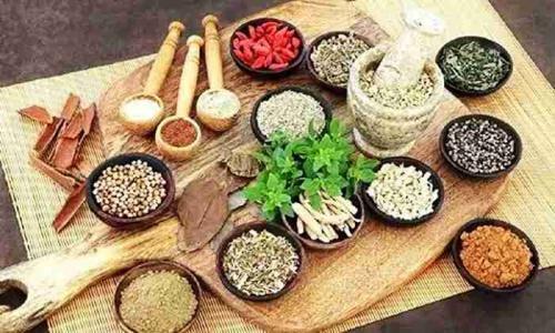 讓中醫(yī)藥為維護人類健康發(fā)揮更大作用