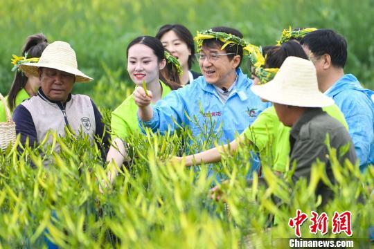 點(diǎn)擊進(jìn)入下一頁