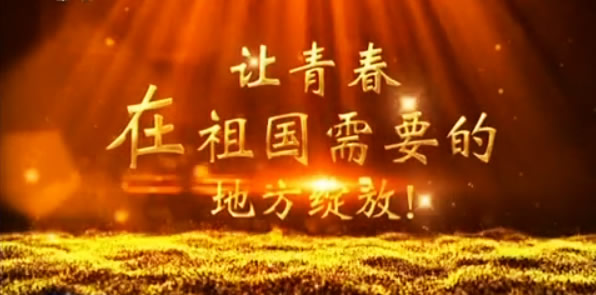 到祖國(guó)最需要的地方綻放青春