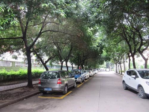 北京高考送考不受尾號(hào)限行限制 考點(diǎn)外新增近6000車位