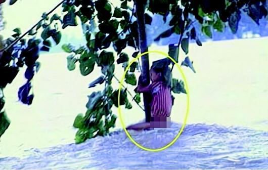 長大后我就成了你：98“抱樹女孩”當上人民警察