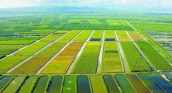 在新的歷史起點上推進(jìn)農(nóng)業(yè)農(nóng)村現(xiàn)代化