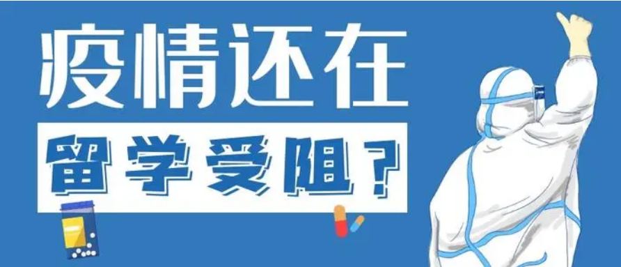 留學(xué)受阻，國際教育緣何逆勢升溫