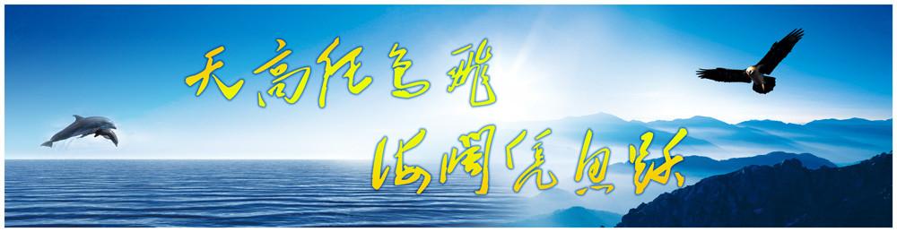 職教駛?cè)敫咚俾?青年插上技能翅膀
