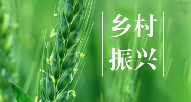 央行等部門發(fā)布考核評估辦法 督促引導金融機構(gòu)大力支持鄉(xiāng)村振興