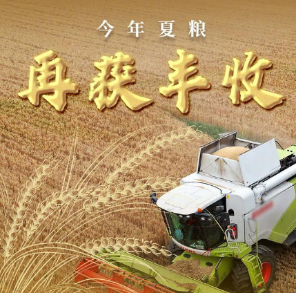 今年夏糧再獲豐收 預計單產提高3公斤，產量再創(chuàng)新高