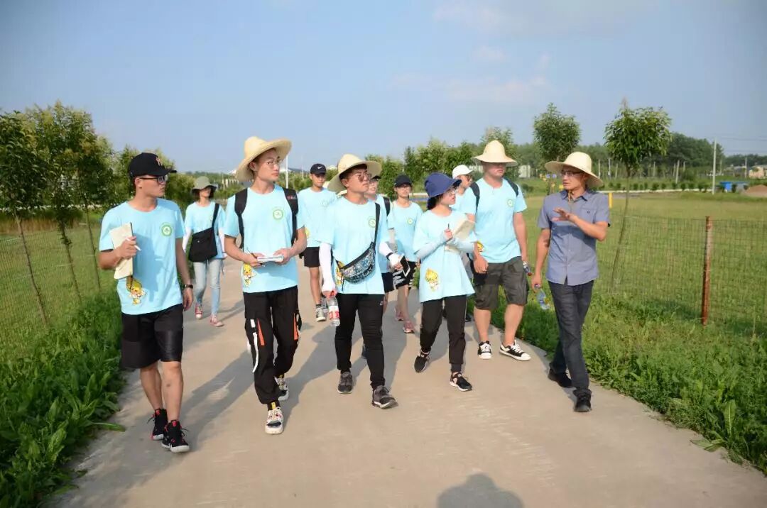 用火熱的青春投身鄉(xiāng)村振興偉大事業(yè)——共青團(tuán)實(shí)施鄉(xiāng)村振興青春建功行動工作綜述
