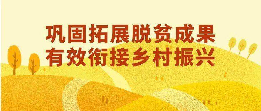 國家鄉(xiāng)村振興局——脫貧攻堅(jiān)成果得到鞏固拓展