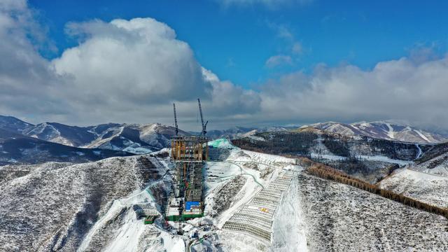 “雪如意”成長記