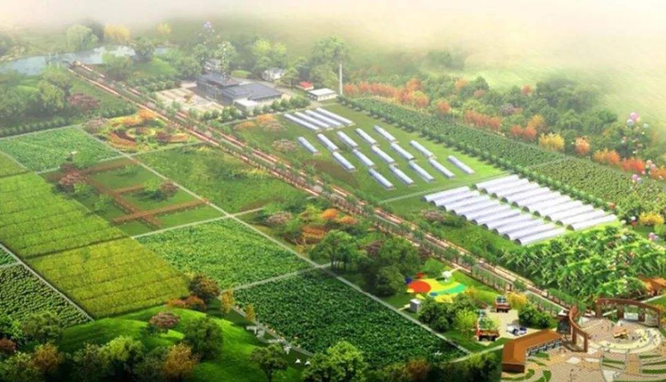農(nóng)業(yè)農(nóng)村部：到2025年建設(shè)1000家國(guó)家級(jí)生態(tài)農(nóng)場(chǎng)