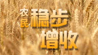 圖說：穩(wěn)步增收！中央一號(hào)文件為農(nóng)民送來“定心丸”