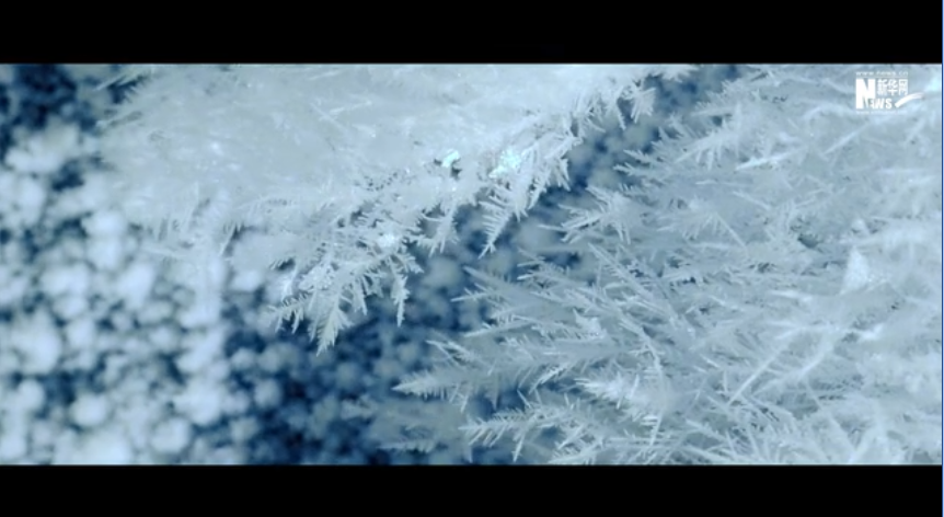 一起向未來 | 冰雪里的奧義