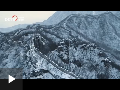 一起向未來丨人生能有幾回搏