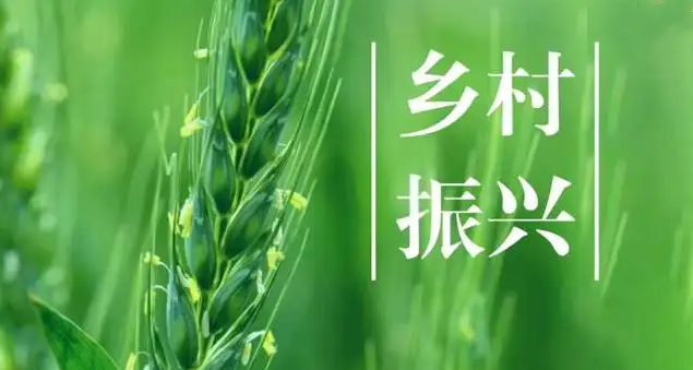 民政部、國(guó)家鄉(xiāng)村振興局印發(fā)通知 動(dòng)員引導(dǎo)社會(huì)組織參與鄉(xiāng)村振興工作