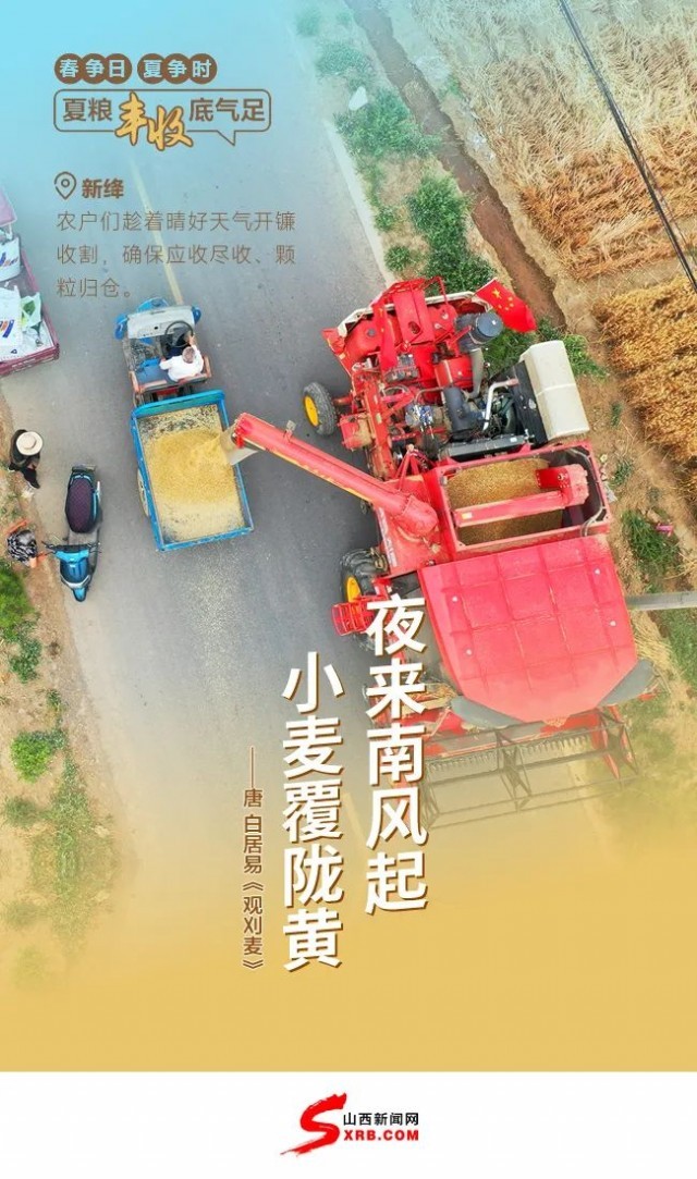 大國“糧”策｜夏糧迎豐收 麥香盈滿倉！