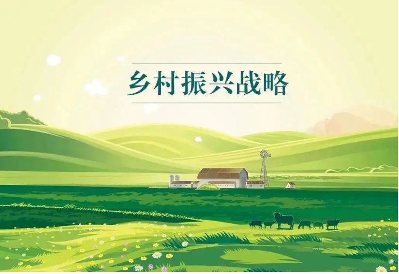 加強青年人才選育 儲備鄉(xiāng)村人才資源