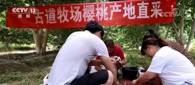 大國“糧”策｜盛夏的果實成為村民增收“致富果”