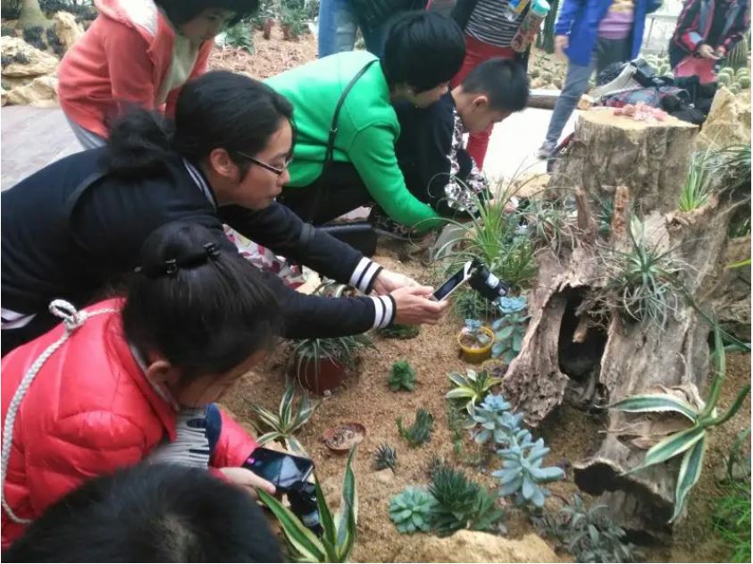 植物寶庫也是自然課堂