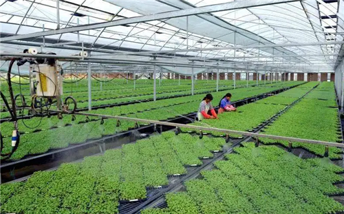 政策精準發(fā)力 全產業(yè)鏈支持 搞農業(yè)有錢掙、得實惠
