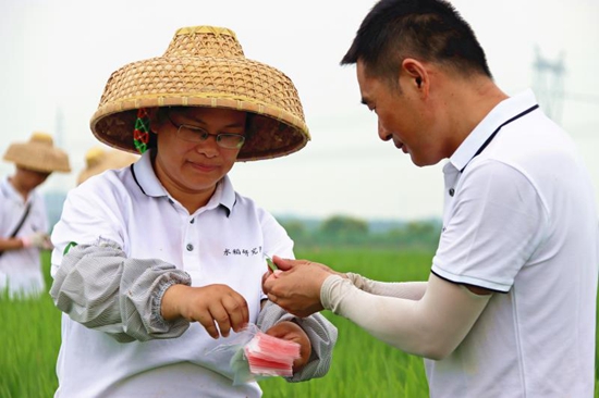 “小眾”的種子專業(yè)為何熱起來了