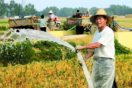 全力抗旱救災 多方部署保秋糧豐收