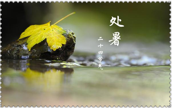 二十四節(jié)氣藥膳養(yǎng)生記丨處暑涼蛩鳴砌下，炊香撩動口腹美