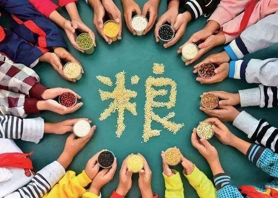 自立自強，為端牢中國飯碗提供更有力的科技支撐