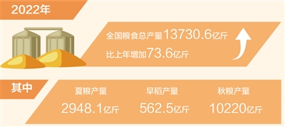 2022年全國(guó)糧食產(chǎn)量穩(wěn)中有增（新數(shù)據(jù) 新看點(diǎn)）