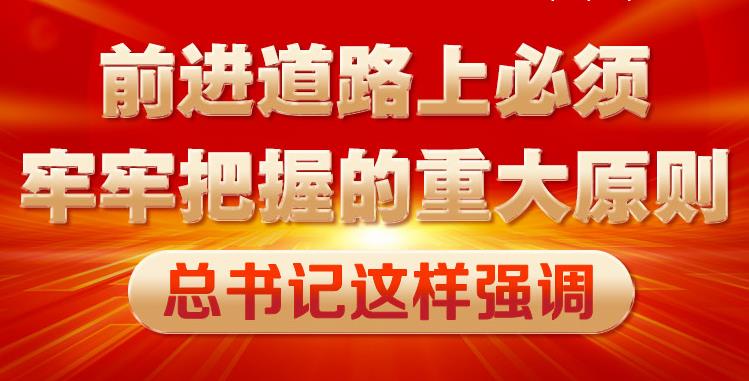 前進道路上必須牢牢把握的重大原則 總書記這樣強調(diào)