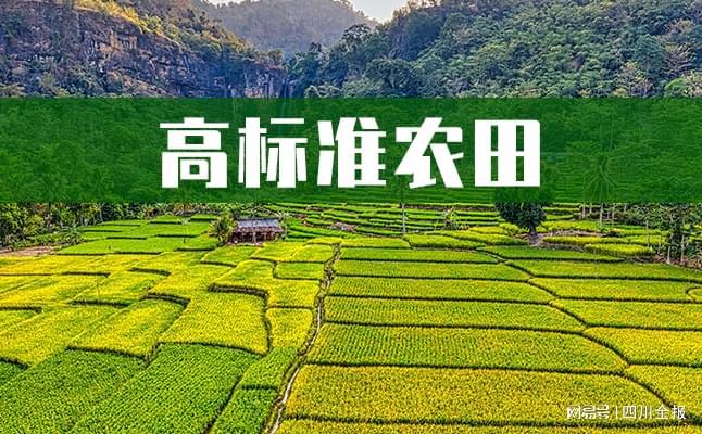 要數(shù)量也要質(zhì)量！高標(biāo)準(zhǔn)農(nóng)田山東這樣建設(shè)