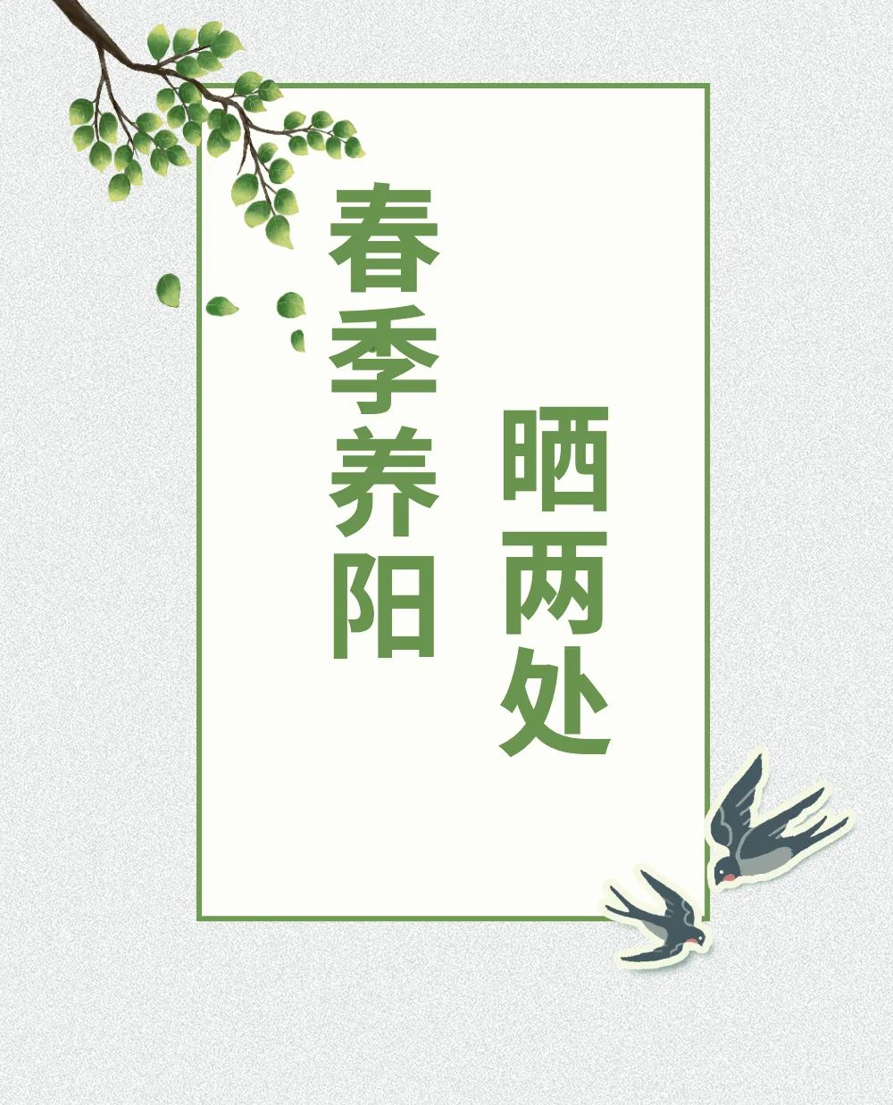 健康知識普及行動｜春季陽氣生發(fā)！做到這些，身體健康陽氣足