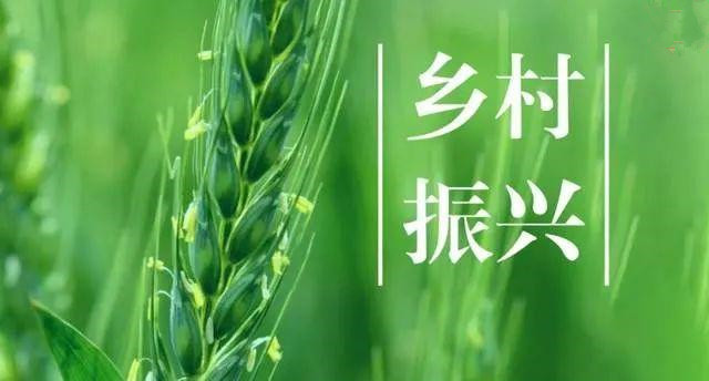 農(nóng)業(yè)農(nóng)村部發(fā)文！ “三個協(xié)同”全面推進鄉(xiāng)村振興